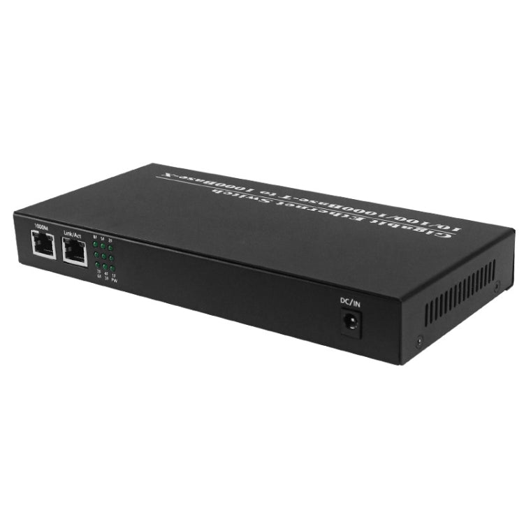 Rynx | 8-fiber-port+2-LAN-port 1000Mbps fiber optic transceiver