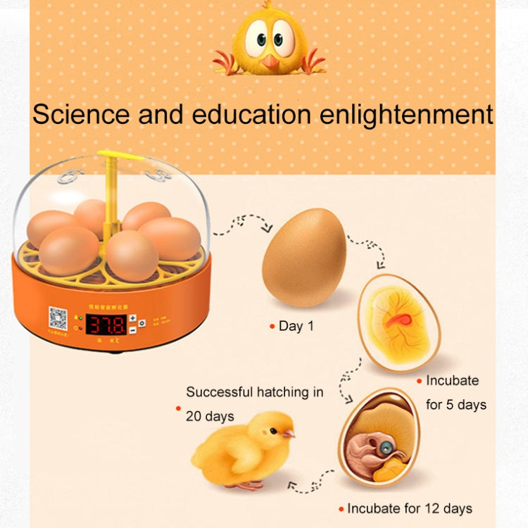 6-Egg Small Household Experimental Children Smart Chicken Egg Incubators, Spec: Automatic AU Plug