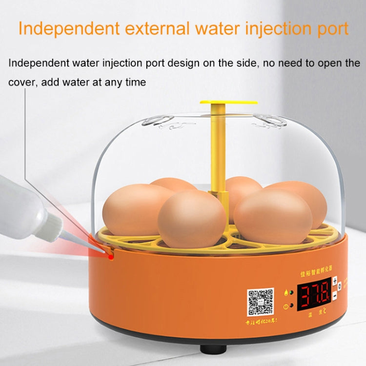 6-Egg Small Household Experimental Kids Smart Incubator, Spec: Dual-electric Automatic UK Plug