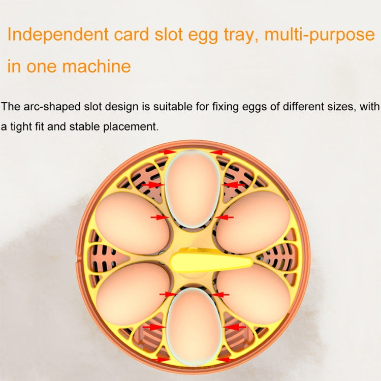 6-Egg Small Household Experimental Kids Smart Incubator, Spec: Dual-electric Automatic UK Plug