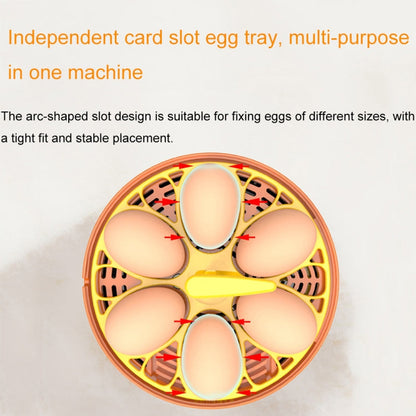 6-Egg Small Household Experimental Children Smart Chicken Egg Incubators, Spec: Automatic AU Plug