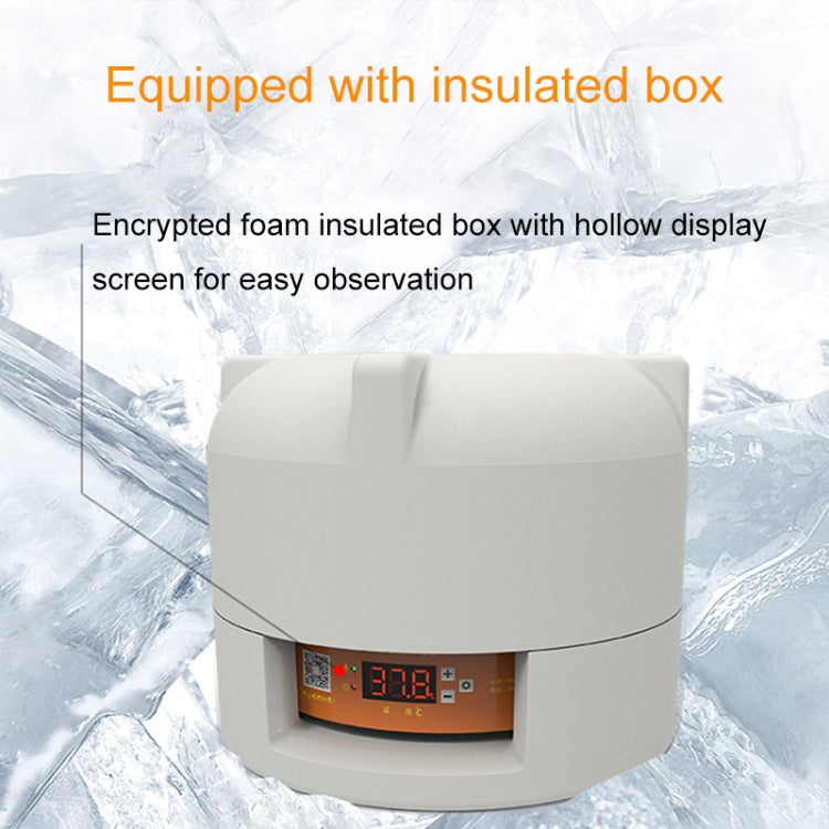 6-Egg Small Household Experimental Children Smart Chicken Egg Incubators, Spec: Automatic AU Plug