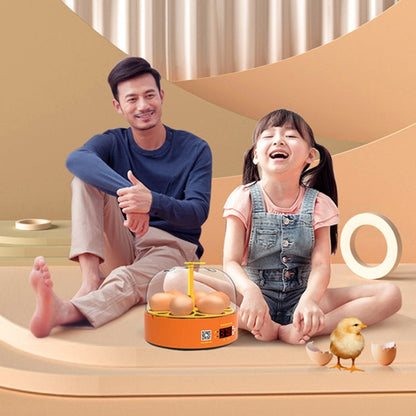 6-Egg Small Household Experimental Children Smart Chicken Egg Incubators, Spec: Automatic AU Plug