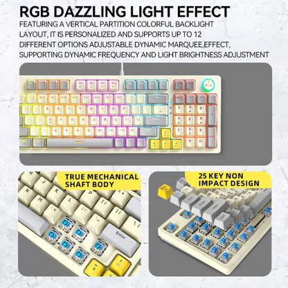 Rynx | T-WOLF T50 97-Key RGB Illuminating Color Change Gaming Mechanical Keyboard with Key, Color: White B
