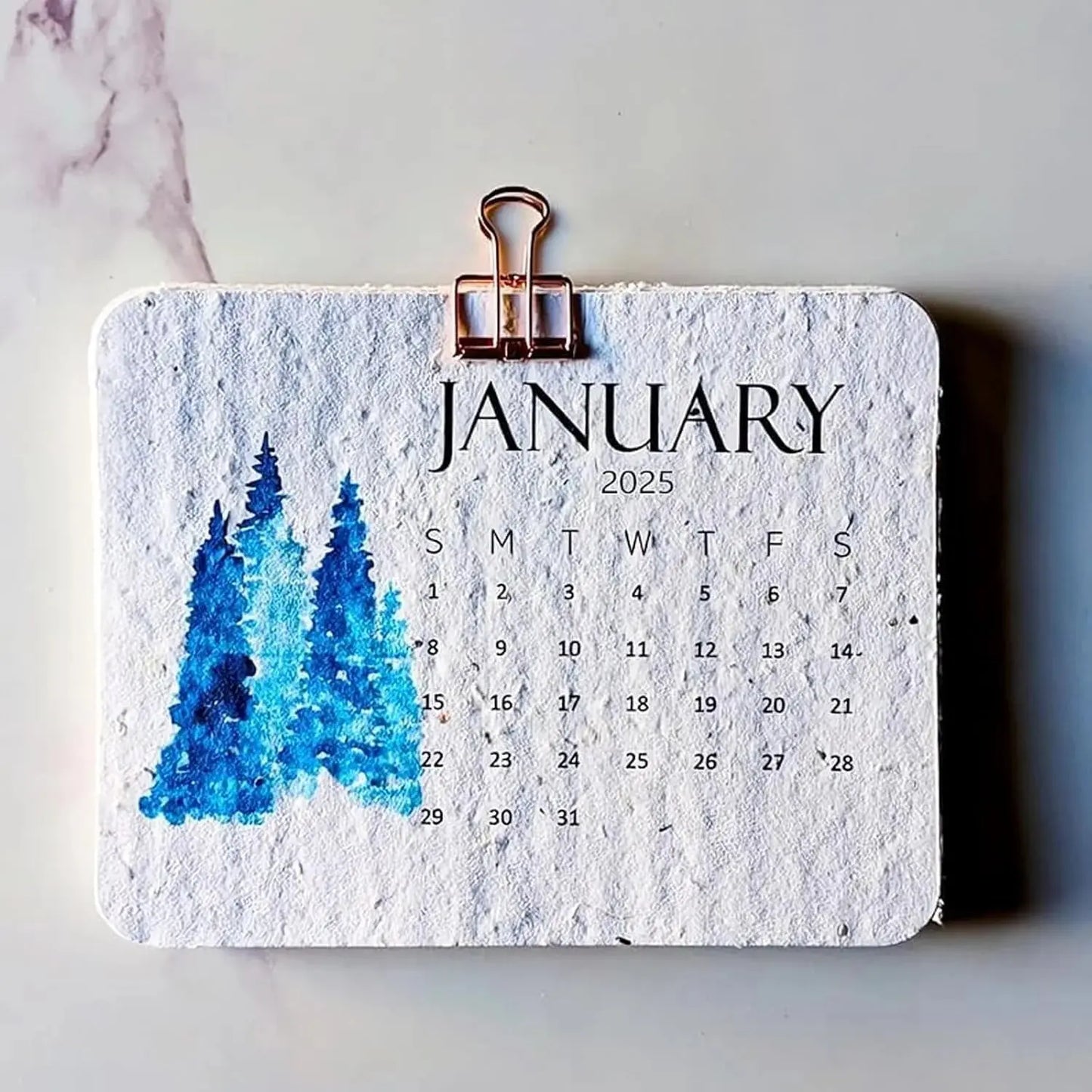 Rynx | Eco-friendly Plantable Seed Calendar 2025 – Grow Year-Round