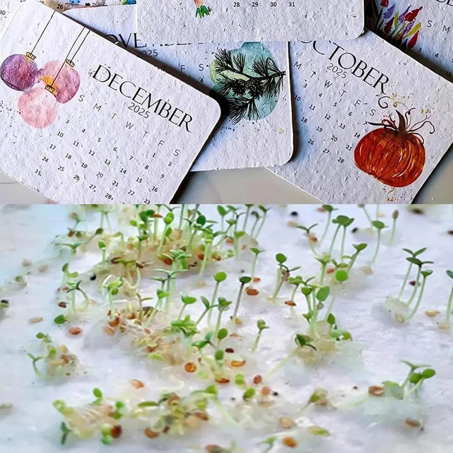 Rynx | Eco-friendly Plantable Seed Calendar 2025 – Grow Year-Round