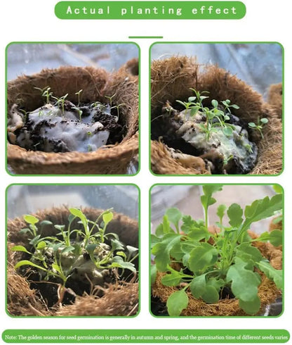Rynx | Eco-friendly Plantable Seed Calendar 2025 – Grow Year-Round