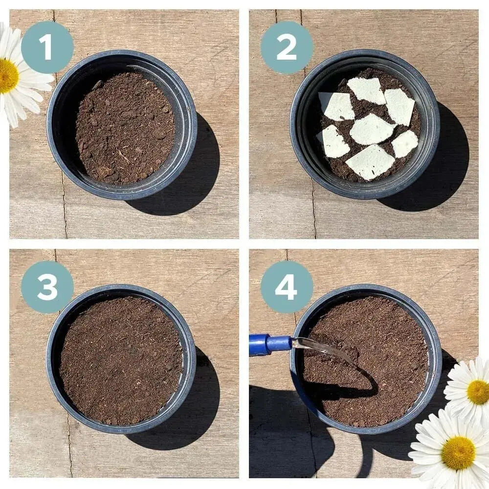 Rynx | Eco-friendly Plantable Seed Calendar 2025 – Grow Year-Round