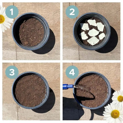 Rynx | Eco-friendly Plantable Seed Calendar 2025 – Grow Year-Round