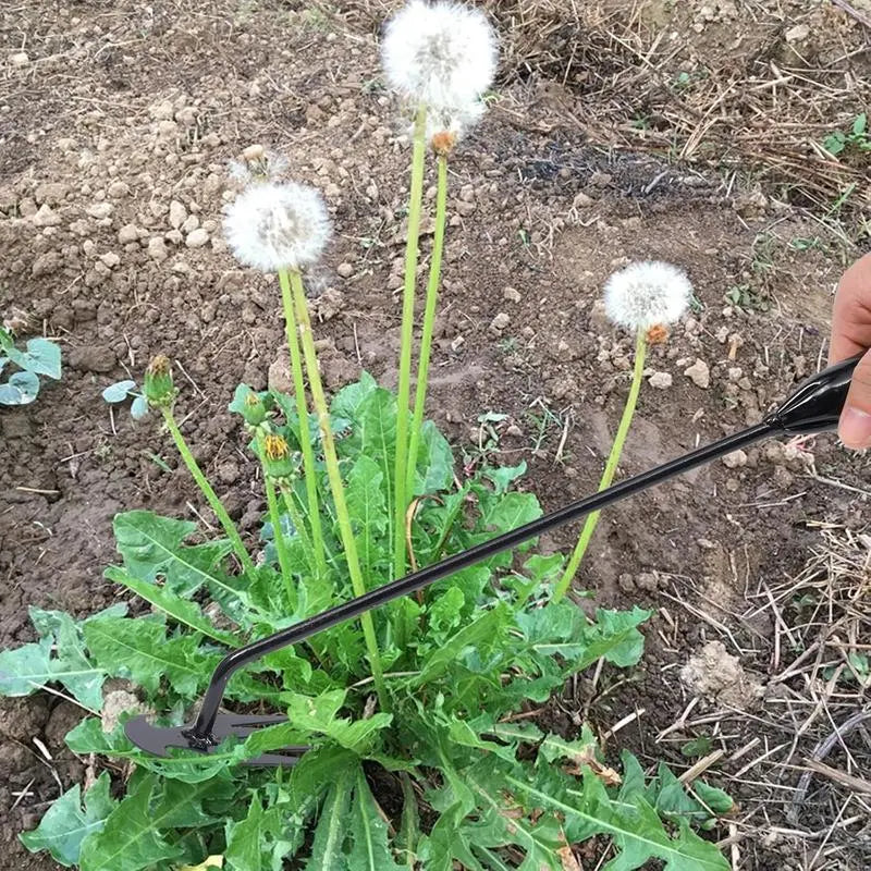 Rynx | Weed removal tool with 4 prongs – Garden hoe tool
