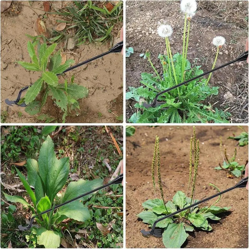 Rynx | Weed removal tool with 4 prongs – Garden hoe tool