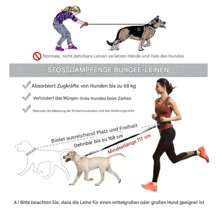 Rynx | Hands-free walking – with leash & bag in one