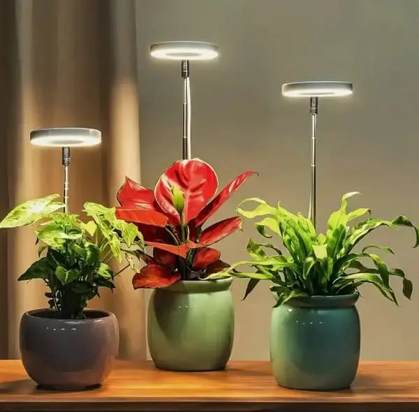 Rynx | Adjustable LED Plant Lamp – Optimal Light for Healthy Growth