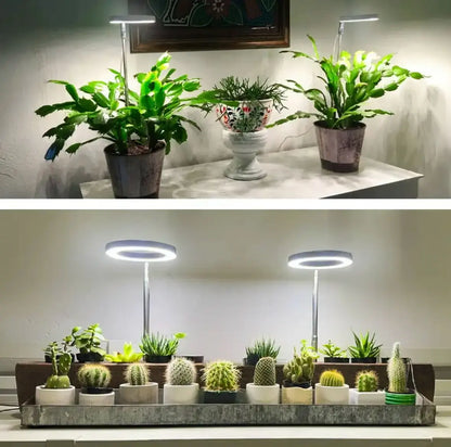 Rynx | Adjustable LED Plant Lamp – Optimal Light for Healthy Growth