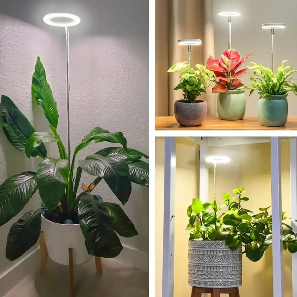 Rynx | Adjustable LED Plant Lamp – Optimal Light for Healthy Growth