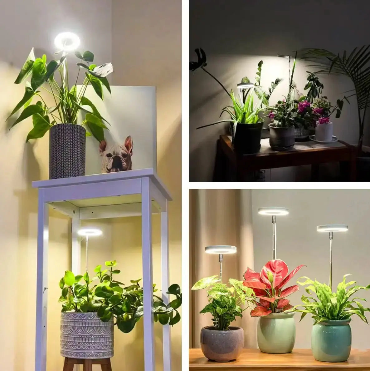 Rynx | Adjustable LED Plant Lamp – Optimal Light for Healthy Growth