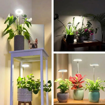 Rynx | Adjustable LED Plant Lamp – Optimal Light for Healthy Growth