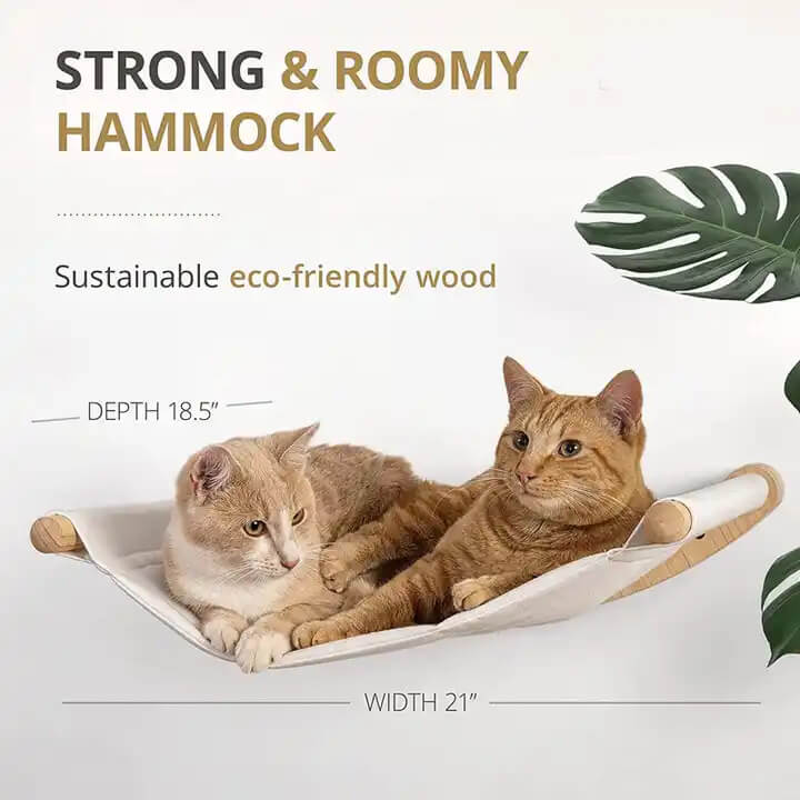 RYNX | Mounted Cat Shelves Cat RYNX | Hammock with Steps