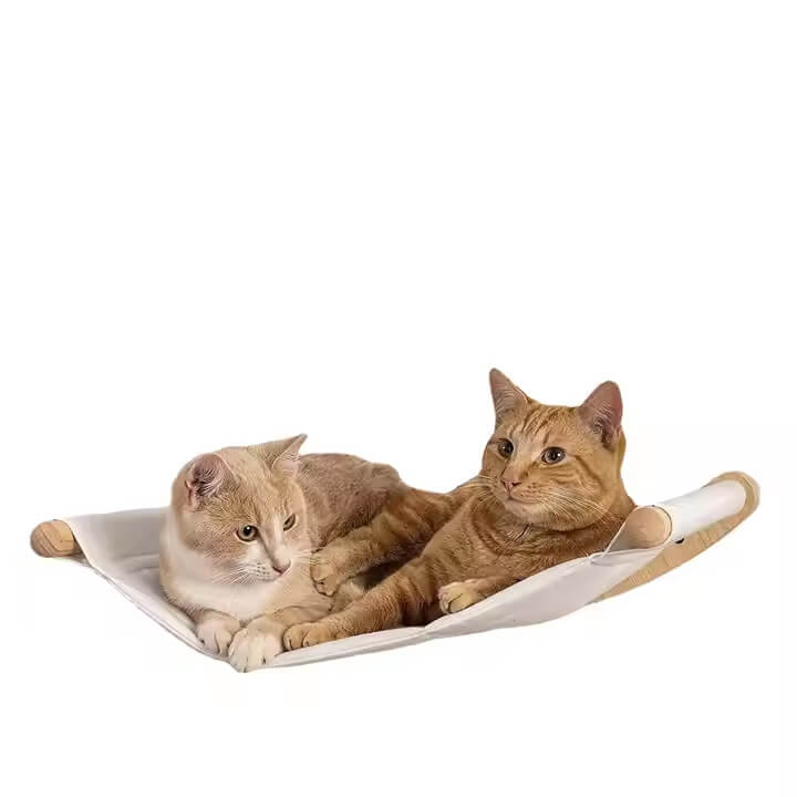 RYNX | Mounted Cat Shelves Cat RYNX | Hammock with Steps