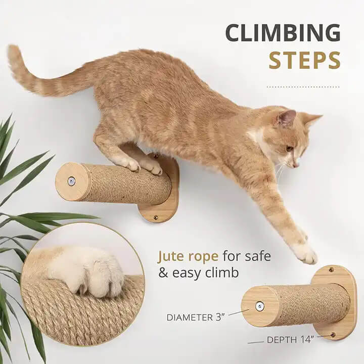 RYNX | Mounted Cat Shelves Cat RYNX | Hammock with Steps