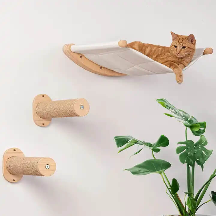 RYNX | Mounted Cat Shelves Cat RYNX | Hammock with Steps