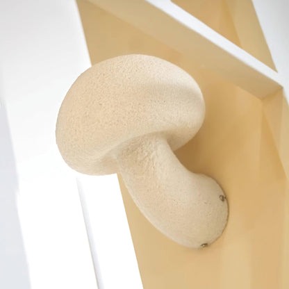 Rynx | Peil Mushroom Wall Lamp