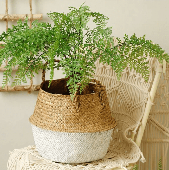 Rynx | Basket