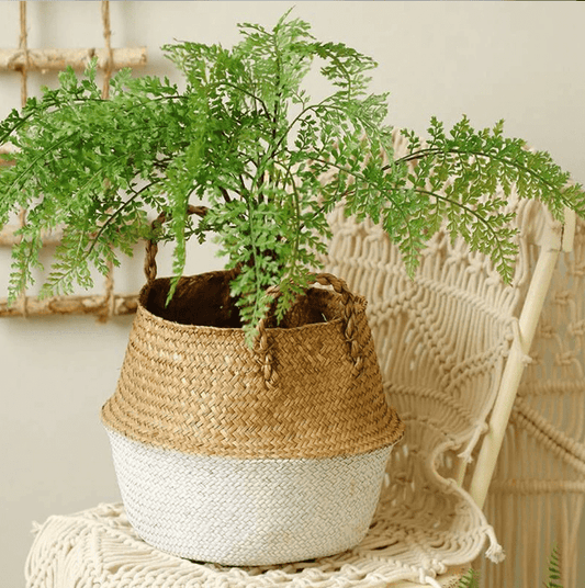 Rynx | Basket