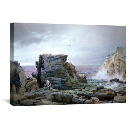 Rynx | A rocky coastal canvas