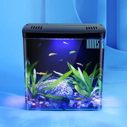 Rynx | Mini self-circulating aquarium