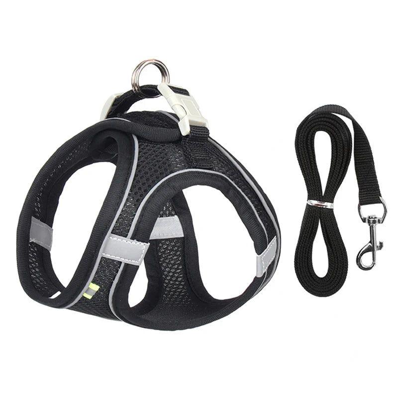 Rynx | Adjustable Summer Mesh Harness and Leash Set for Small Dogs and Cats