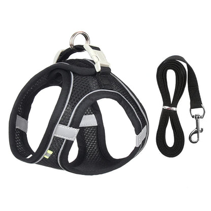 Rynx | Adjustable Summer Mesh Harness and Leash Set for Small Dogs and Cats