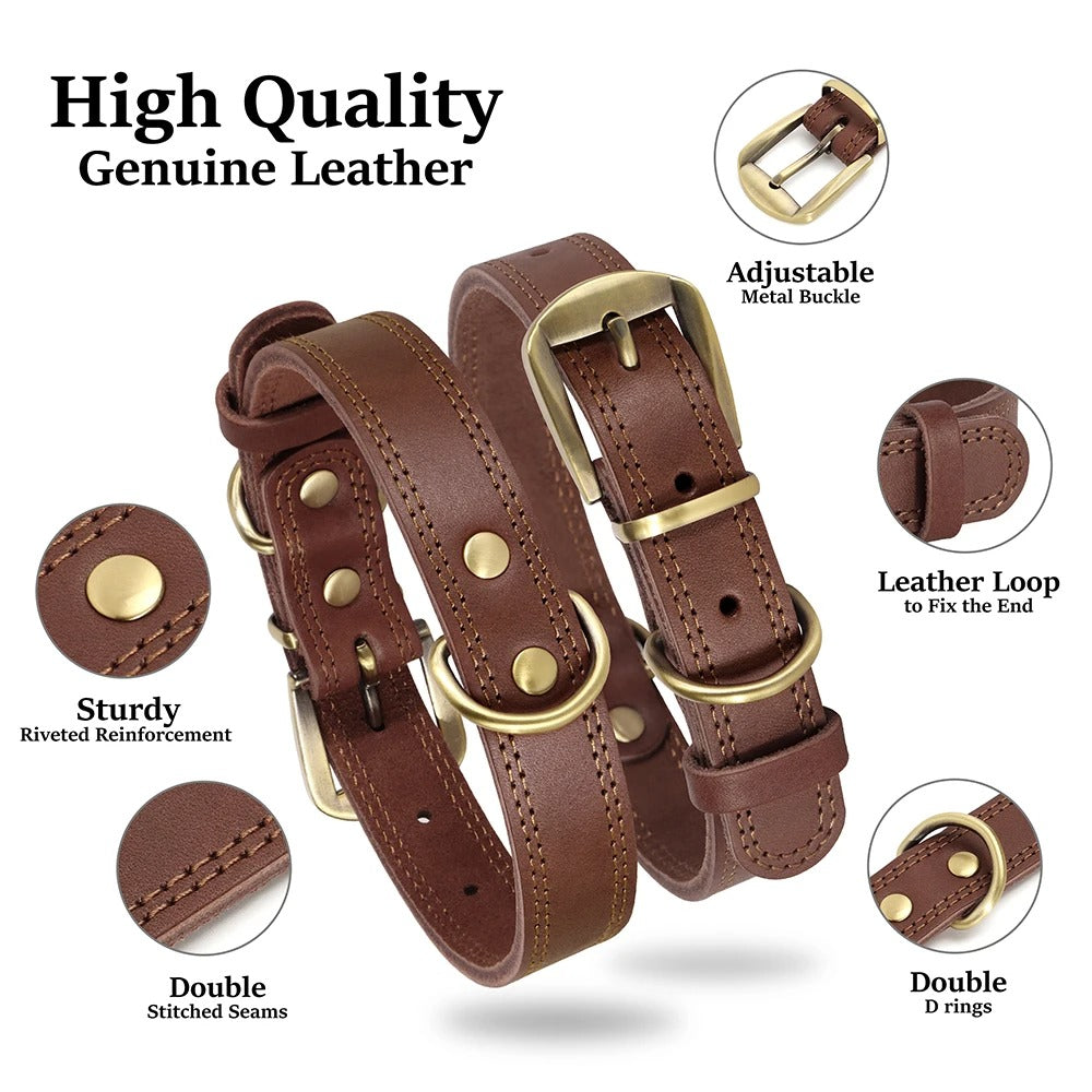 Rynx | Genuine Leather Dog Collar Durable and Adjustable for Small and Large Dogs