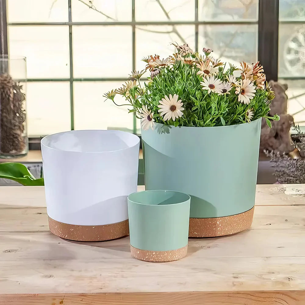 Rynx | Modern Matte Finish Planters with Drainage