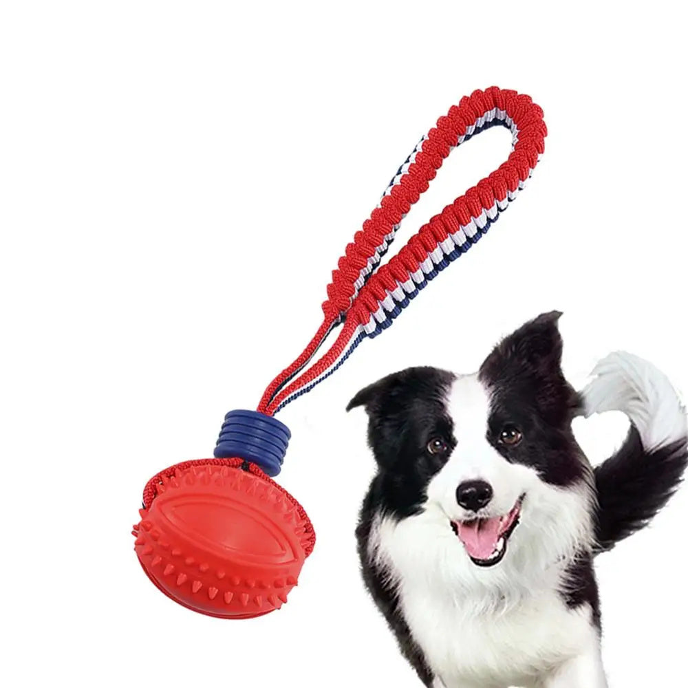 Rynx | Interactive dog toy ball with rope.