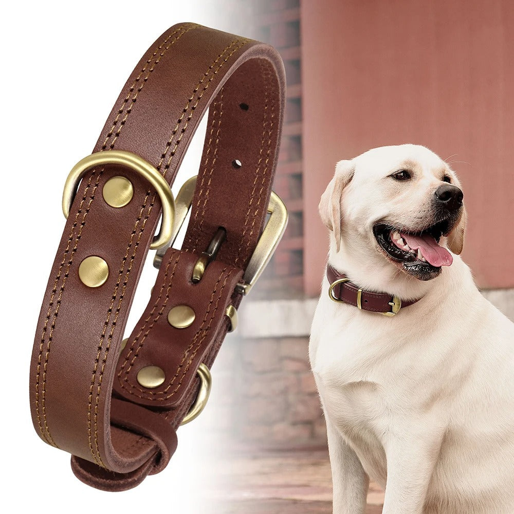 Rynx | Genuine Leather Dog Collar Durable and Adjustable for Small and Large Dogs