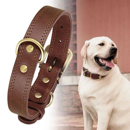 Rynx | Genuine Leather Dog Collar Durable and Adjustable for Small and Large Dogs