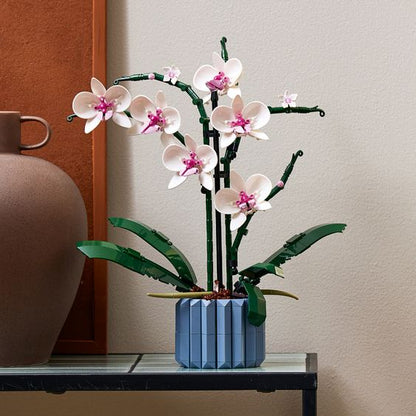 Rynx | Botanical Collection Decor