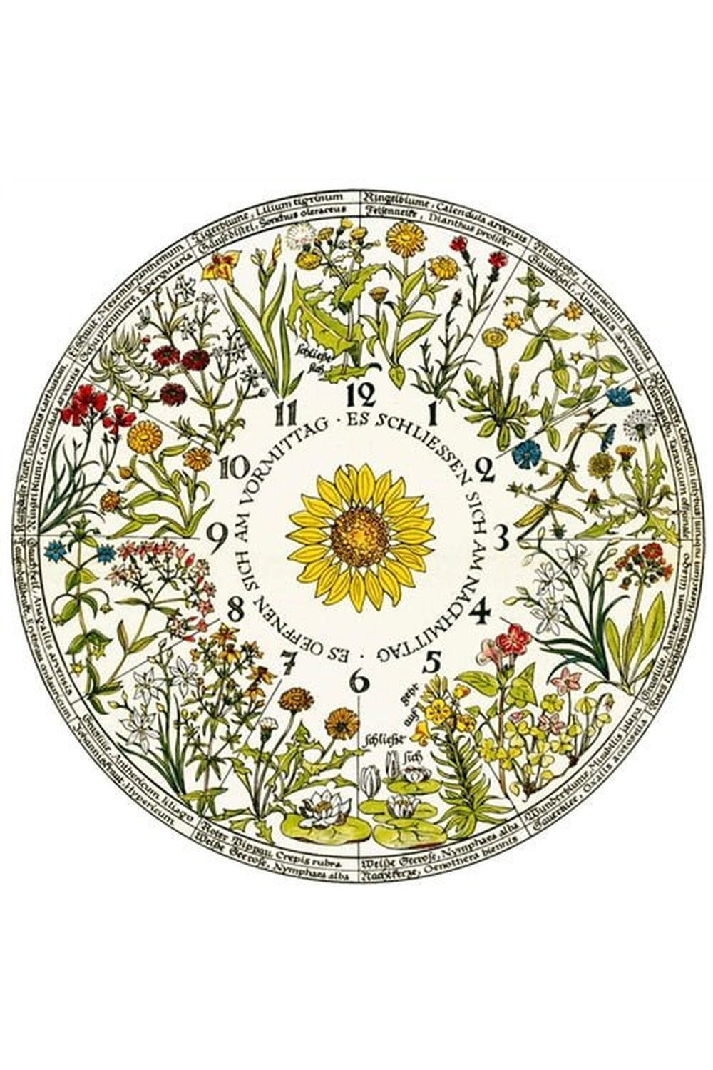 Rynx | patterned dinner plates