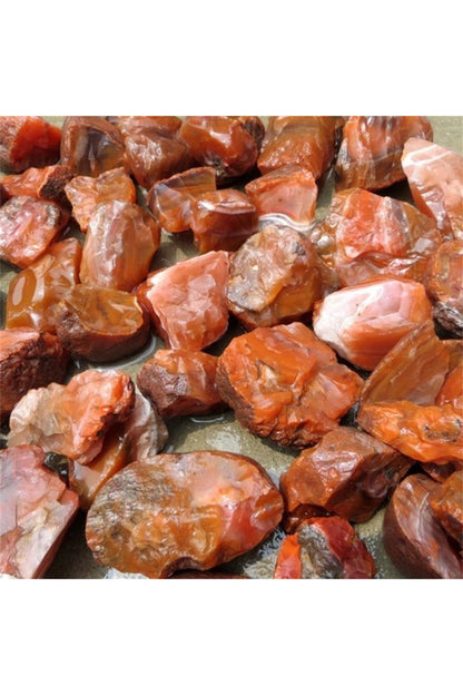 Rynx | Carnelian Rough Stone