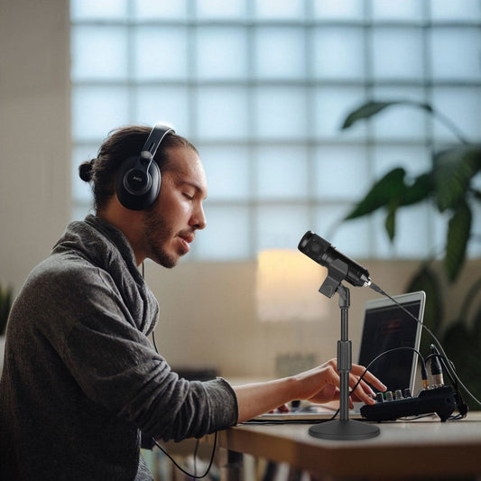 Rynx | AGPtEK Desk Microphone Stand with Microphone