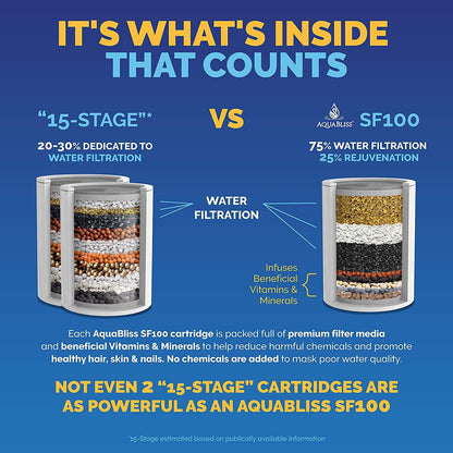 Rynx | AquaBliss High Output Revitalizing Shower Filter