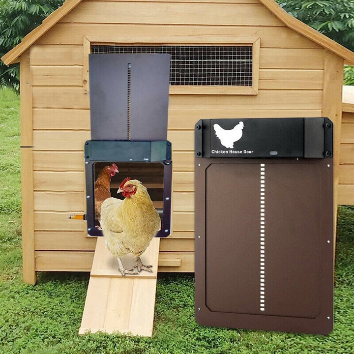 RYNX | Pro+ | Automatic Chicken Door