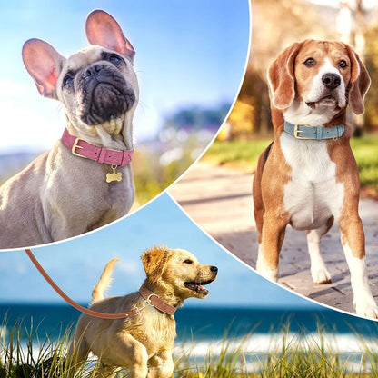 Rynx | Soft Leather Padded Dog Collar Adjustable and Durable for Small and Medium Dogs