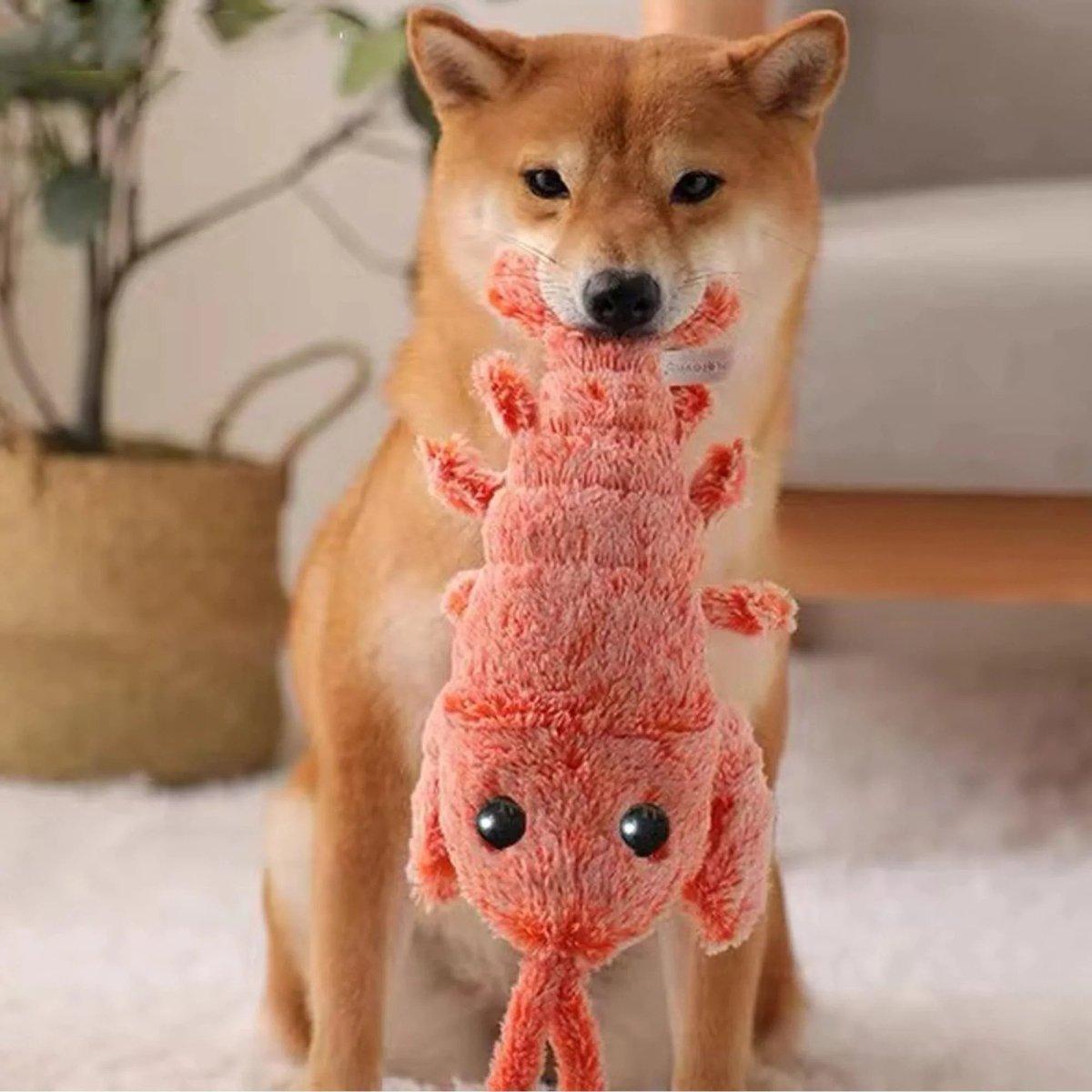 Rynx | interactive lobster shape for dogs