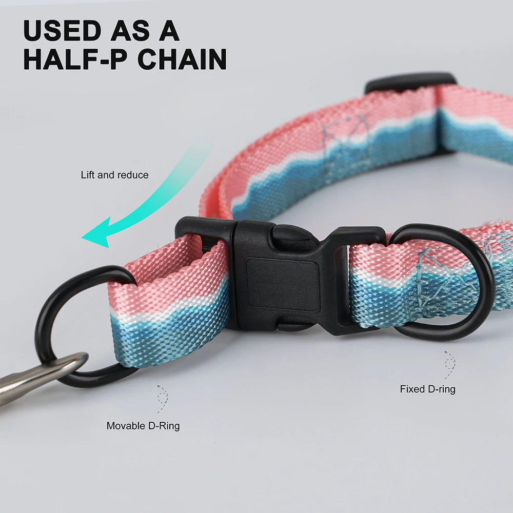 Rynx | Adjustable Nylon Dog Collar
