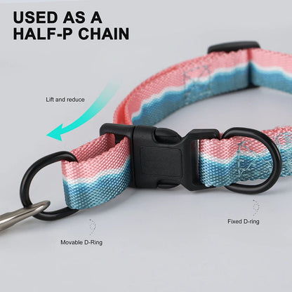 Rynx | Adjustable Nylon Dog Collar