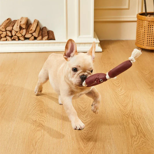 Rynx | Durable Cotton Rope & Vinyl Sausage Toy for Pets