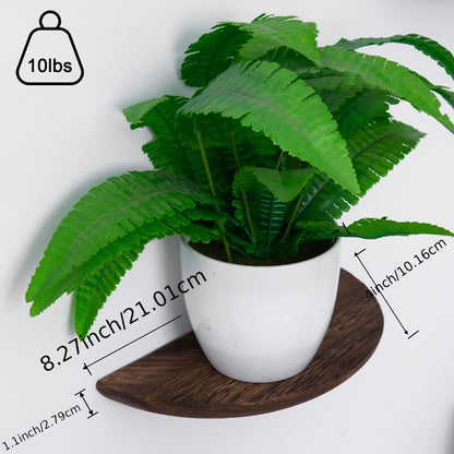Rynx | WoodArc - Set with 2 Half-Round Wooden Floating Shelves for Wall Decoration and Storage