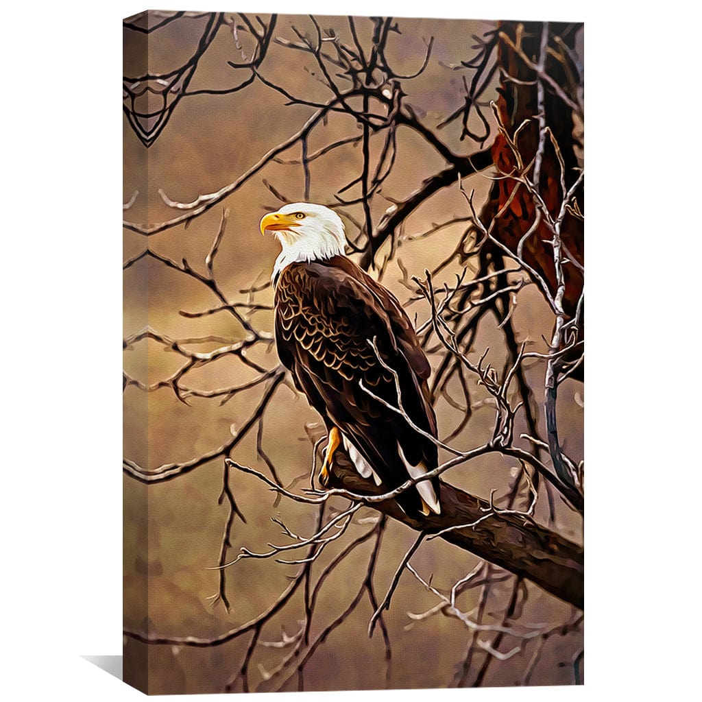 Rynx | Bald Eagle Canvas